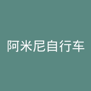 阿米尼自行车官网