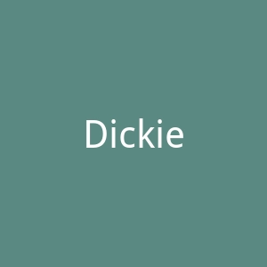 Dickies官网