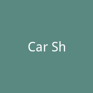 Car Shoe官网