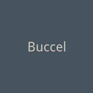 Buccellati官网