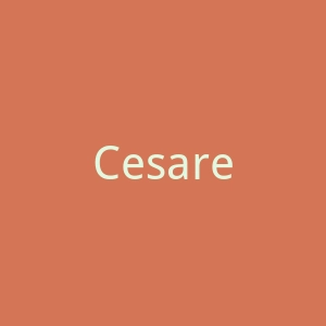 Cesare Paciotti官网