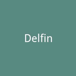 Delfina Delettrez Fendi官网