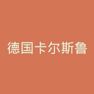 德国卡尔斯鲁厄大学官网