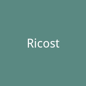 Ricostru官网