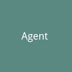 Agent Provocateur官网