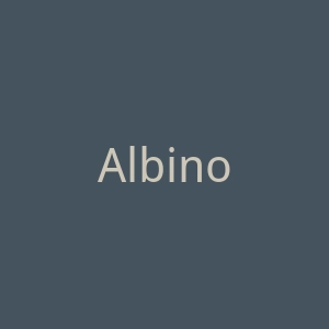 Albino官网