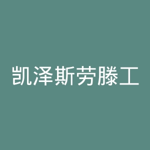 凯泽斯劳滕工业大学官网