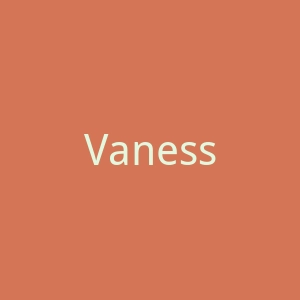 Vanessa Bruno官网
