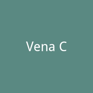 Vena Cava官网