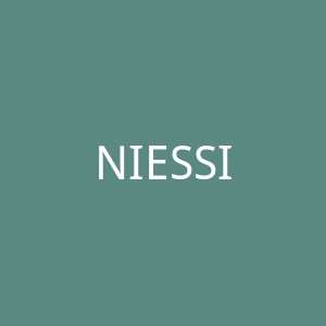 NIESSING官网