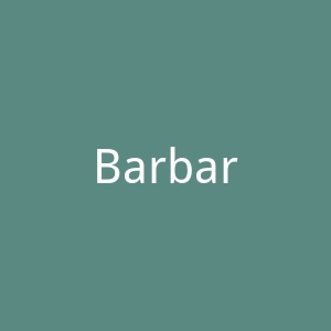 Barbara Tfank 官网