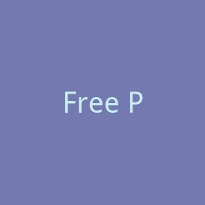 Free People官网