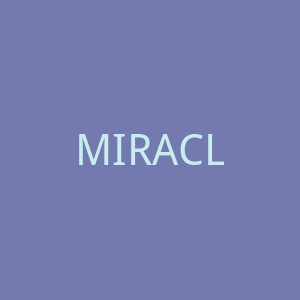 MIRACLE KILL官网