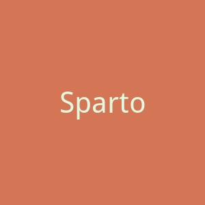 Spartoo官网
