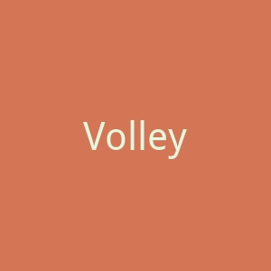 Volley鞋官网