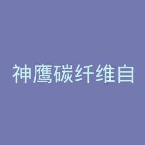 神鹰碳纤维自行车官网