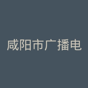 咸阳市广播电视台官网