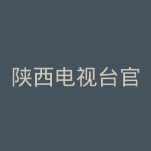 陕西电视台官网