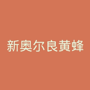 新奥尔良黄蜂队官网