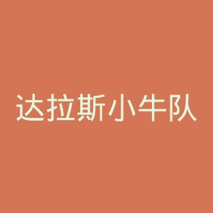 达拉斯小牛队官网