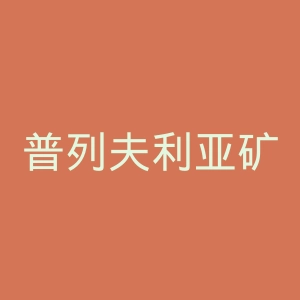 普列夫利亚矿工足球俱乐部官网