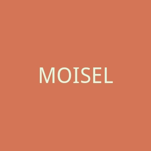 MOISELLE慕诗官网
