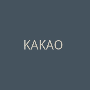 KAKAO FRIENDS官网