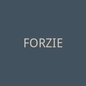 FORZIERI官网