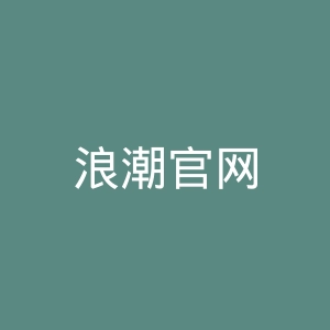 浪潮官网