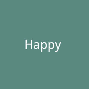 Happy Socks官网