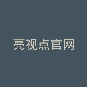亮视点官网
