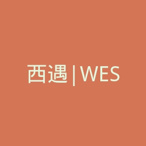西遇|WESTLINK官网