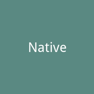 Native鞋官网