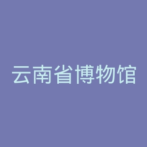 云南省博物馆官网