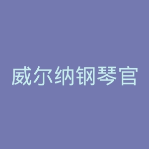 威尔纳钢琴官网