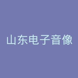 山东电子音像出版社官网