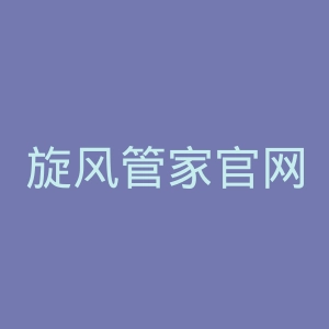 旋风管家官网