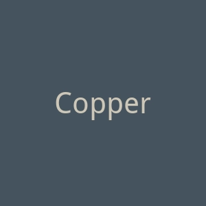 Coppertone官网