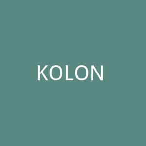 KOLON SPORT官网