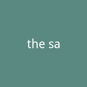 the saem官网
