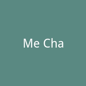 Me Char官网