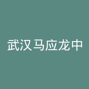 武汉马应龙中西医结合肛肠医院官网