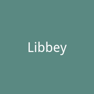Libbey官网