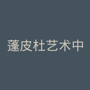 蓬皮杜艺术中心官网