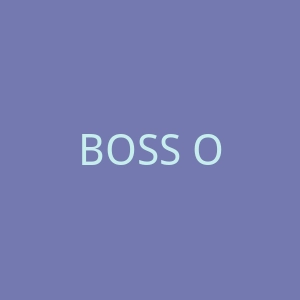 BOSS Orange官网