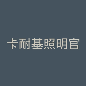 卡耐基照明官网