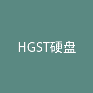 HGST硬盘官网