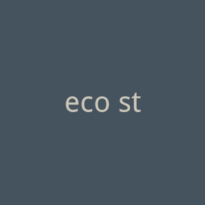 eco store官网