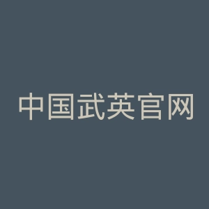中国武英官网