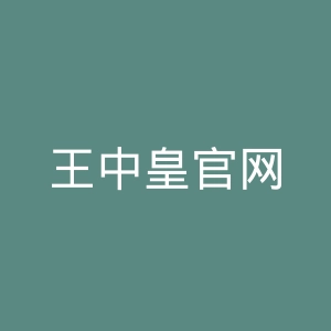 王中皇官网